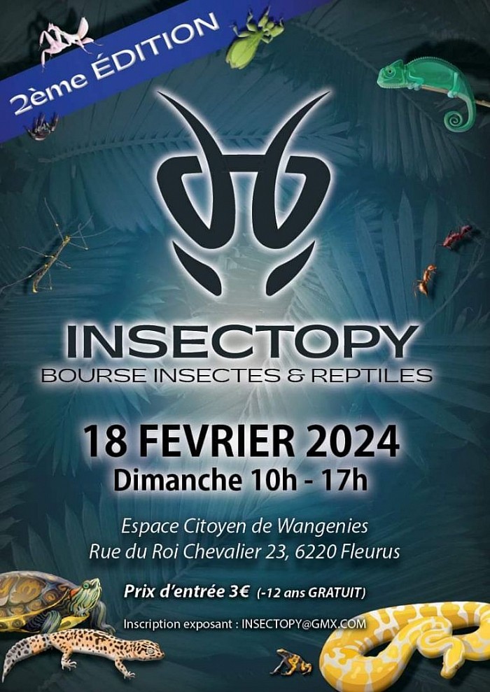Insectopy