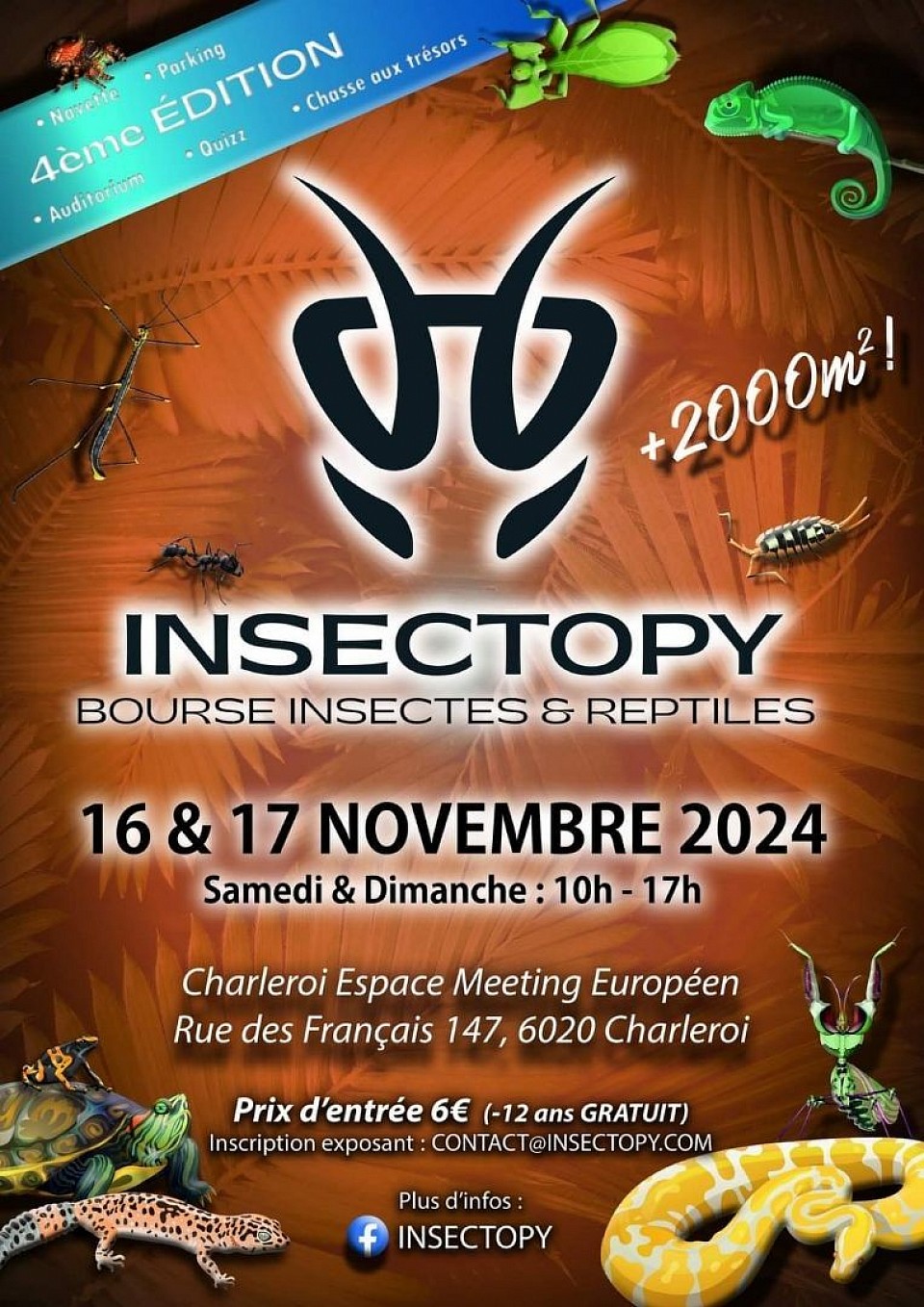 Insectopy